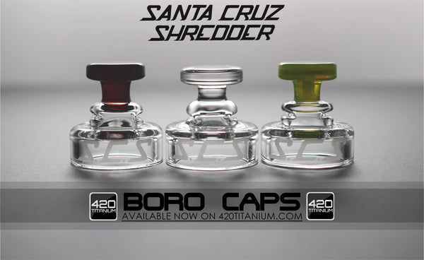 Santa Cruz Shredder - Boro Cap - Clear